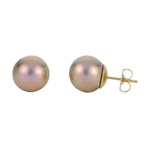 14K Windsor Pearl Stud Earrings
